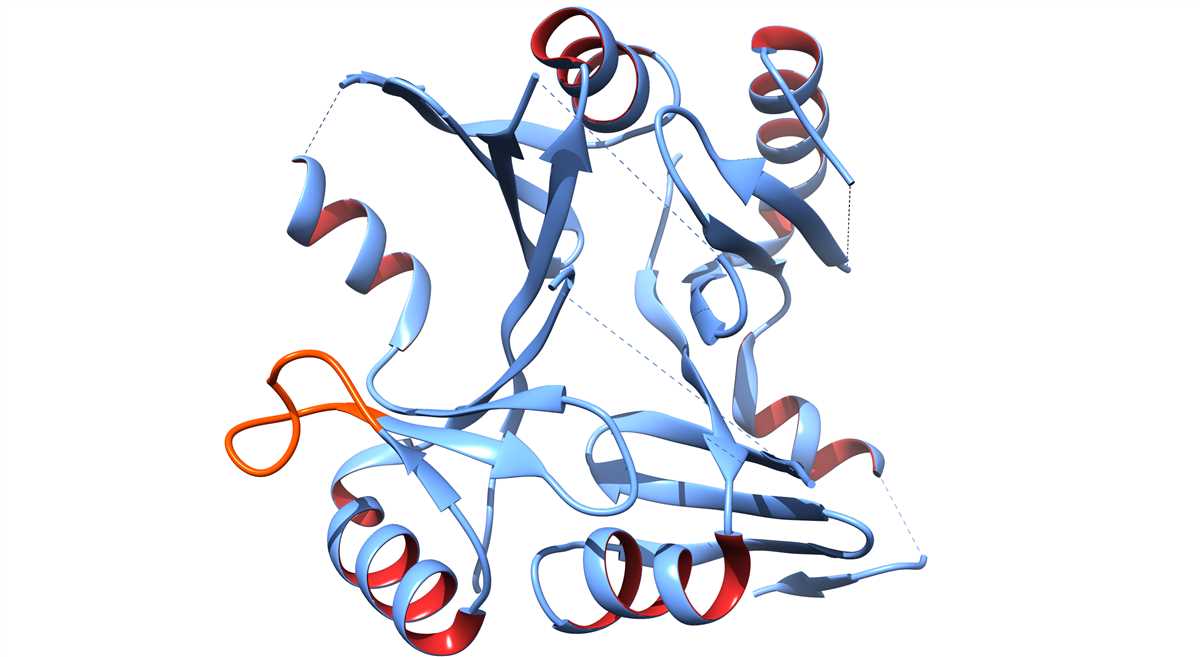 Understand Protein Structure With Ribbon Diagrams